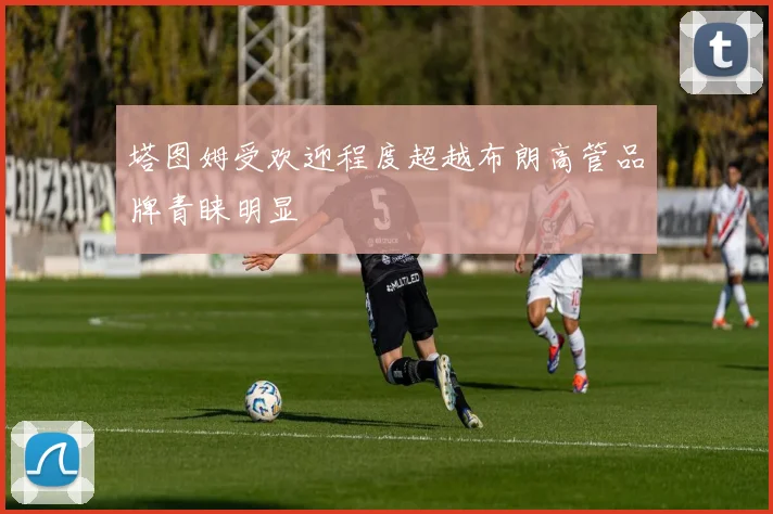塔图姆受欢迎程度超越布朗高管品牌青睐明显